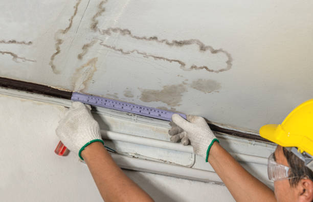 Reliable Burst Pipe Cleanup contractor in Booneville, IA by Water Damage Irwin